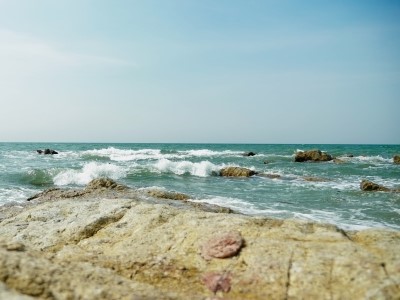 The Bounty of the Sea, the Homeland of Oysters. The Bounty of the Sea, the Homeland of Oysters.