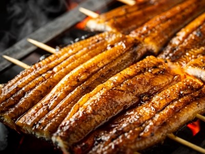 From the Smoky Aroma of Charcoal to the Bite of Eel on Your Table. From the Smoky Aroma of Charcoal to the Bite of Eel on Your Table.