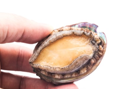 The Nutritional Value of Abalone: A Delicacy from the Sea and an Excellent Choice for Nourishment and Wellness The Nutritional Value of Abalone: A Delicacy from the Sea and an Excellent Choice for Nourishment and Wellness